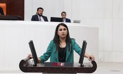 DEM PARTİLİ ZEYNEP ODUNCU: "KADINLAR İÇİN NE YAPTINIZ?"