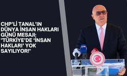 CHP’li Tanal "Türkiye’de ‘İnsan Hakları’ Yok Sayılıyor!"