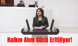 CHP’li Gülcan Kış: “Tasarruf Söylemi Bir Yalandır,  Halkın Alım Gücü Eritiliyor!”