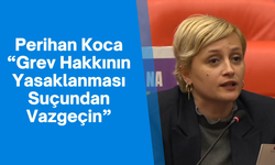 DEM Parti Milletvekili Perihan Koca: “Grev Hakkının Yasaklanması Suçundan Vazgeçin”