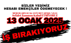 13 Ocak Pazartesi Günü Kamu Emekçileri İş Bırakıyor: "Haklarımız İçin Mücadeleyi Büyütüyoruz!"