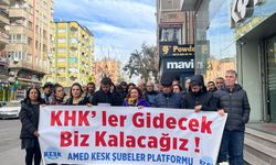 KESK Amed Şubeler Platformu; 119. Hafta da "KHK'lar Gidecek Biz Kalacağız" Açıklaması Yaptı