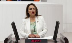 CHP’li Dr. Müzeyyen Şevkin: “Daha Kaç Can Vereceğiz?”