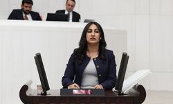 Zeynep Oduncu Kutevi, iktidarın basın özgürlüğü karnesini açıkladı