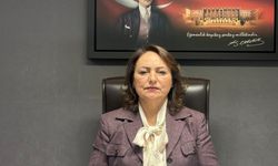 CHP'li Şevkin, “İliç Madeni nedeniyle Türkiye’nin 430 milyon dolar vergi kaybı var”