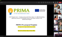 PRIMA Projesi, Akdeniz Bölgesi'nde Sürdürülebilir Tarımsal Ormancılık İçin AB Desteği Aldı