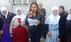 DEM Parti Adana Kadın Şöleninde Kadın Mücadelesi ve Barış Vurgusu