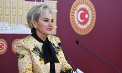 CHP’li Vekil Nimet Özdemir’den Hayvan Hakları Konusunda Yapılan son Düzenlemelere Tepki