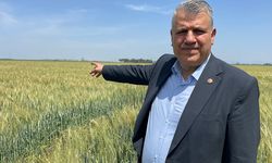 CHP'li Ayhan Barut "Çiftçi sizin düşmanınız değildir"