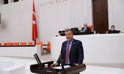 CHP'li Ayhan Barut, AKP ekonomiyi çökertti, yangın büyüyor
