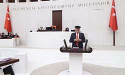 CHP Adana Milletvekili Ayhan Barut,  "Kutlama yapacak çiftçi kalmadı"