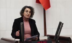 DEM Partili Çiçek Otlu TBMM’de Konuştu: Kadınların Her Türlü Sağlık Hakkına Erişmesi Gerekiyor