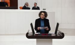 Çiçek Otlu: “Doğayı Katleden Soygun Düzenine ‘Hayır’ Diyoruz”