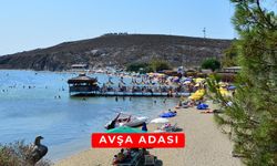 Günlük 800 TL’ye Tatil Fırsatı: İstanbul’a 4 Saat Mesafede AVŞA ADASI