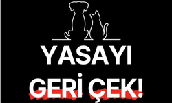 YAŞAMDAN YANA OLANLAR 7 MAYIS'TA AYM ÖNÜNE ÇAĞRI YAPTI