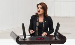 CHP'li GÜLCAN KIŞ: Saray rejiminde, refah değil icra geldi.