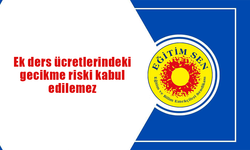 Eğitim Sen: Ek ders ücretlerindeki gecikme riski kabul edilemez