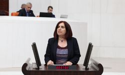 Sevilay Çelenk’ten Meclis’e “Randevu Krizi” Çıkışı: “Yurttaşlar Sağlık Hakkına Ulaşamıyor”
