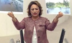 CHP'li Şevkin, Adanalı çiftçiyi yağmur ve dolu vurdu