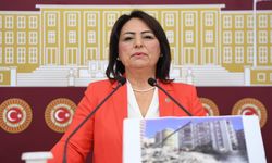 Şevkin, depremzede vatandaşların DASK ve sigorta şirketlerinden kaynaklanan mağduriyetini TBMM’ye taşıdı