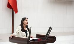 Nevroz Uysal Aslan’dan TBMM’ye Zorla Kaybetmeler İçin Araştırma Komisyonu Önerisi