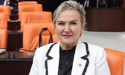 CHP'li Nimet Özdemir’den Adalet Bakanı’na 14 Soru