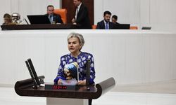 Milletvekili Nimet Özdemir Cezaevlerinde Büyüyen Çocukları Meclis Gündemine Taşıdı