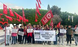 TİP Adana İl Örgütü’nden AYM’ye Çağrı: “Katliam Yasasını İptal Et, Hayvanları Yaşat!”