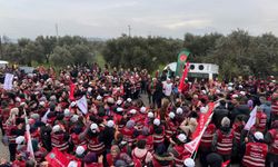 Polonez İşçileri: Yanlış yapan sendikacı sendikaya zarar verir. İşçiden sendikaya zarar gelmez.