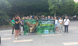 Adana’da Sokak Hayvanları İçin Acil Çağrı: Bu Yasayı Tanımıyoruz!
