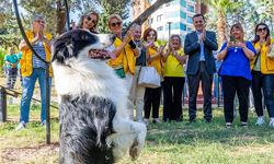 Yenişehir Belediyesinden patili dostlara özel park