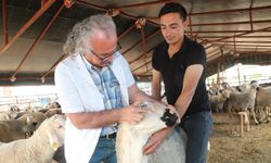 Yüreğir Belediyesi, yurttaşların güvenli gıdaya ulaşması için denetimlere devam edecek
