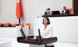 CHP’li Coşar’dan Sert Tepki: “Zeytinliklerden Meralara Rant Uğruna Geleceğimiz Yok Ediliyor!”