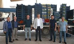 CHP'li Ayhan Barut: “Üretim Olmazsa Gıda Egemenliğini Kaybederiz!”
