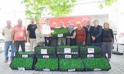 BÜYÜKŞEHİR GÜLNAR’DA 105 BİN DOMATES FİDESİ DAĞITTI