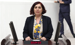 Sevilay Çelenk: "Narin Güran’ın ailesini savunanların ülkesinde yaşamak istiyorum"