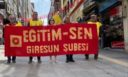 Eğitim Sen Giresun Şubesi: Kamu Emekçisi Sahipsiz Değildir, Mücadeleyi Büyüteceğiz