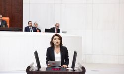 CHP’li Gülcan Kış: “Vatandaş Vergiye, Cezaya, Harca Çalışıyor, Sarayın Kasası Büyüyor!”