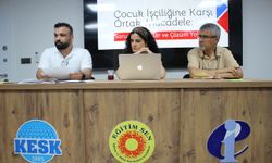 Mehmet Bayram: "Çocuk İşçiliği: Sistematik Bir Hak İhlali, Yapısal Bir Sömürü Mekanizması"