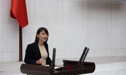 Kezban KONUKÇU; “Kayyum Rejimi Emekçiyi Açlığa Mahkûm Ediyor”