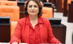CHP'li Şevkin'inden 15 ilçe için 15 ayrı soru önergesi