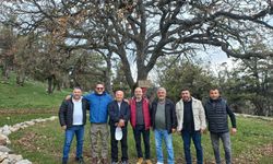 TOKAT’TA SİYANÜRLÜ MADENE GEÇİT YOK: ÇALBABA ORMANINI, İNANCIMIZI VE GELECEĞİMİZİ SAVUNUYORUZ!