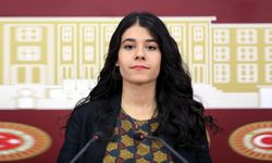 DEM Parti Mardin Milletvekili Beritan Güneş: “Mayınsız Bir Gelecek İçin, Onurlu Barışı İnşa Edelim!”