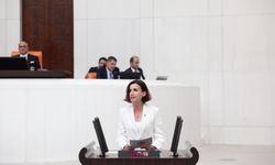 CHP’li Aliye Coşar: “Manavgat'ta Tarım Arazilerine Yapılacak Otoyol Bağlantısı Yeniden Gözden Geçirilmeli”