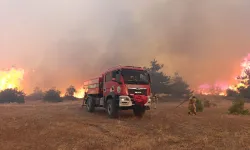 7 Gözaltı, 3 Tutuklama: Orman Yangınlarıyla İlgili Soruşturmalarda Gelişme