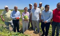 CHP’li Vekiller Çiftçilerle Tarlada Buluştu: “Ürünler Tarlada Çürüyor, Halk Pahalıya Alıyor”