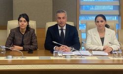 DEM Parti, Çölyak Hastası Gazeteci Perihan Sevda Erkılınç’ın Sağlık Hakkı İhlal Ediliyor