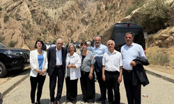 Gergerlioğlu: Selahattin Demirtaş, Figen Yüksekdağ ve diğer siyasi tutuklular tahliye edilmeli