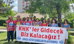 Ankara Bölge İdare Mahkemesi’nden Emsal Karar: KHK'lı Zülfikar Taş Göreve İade Edildi