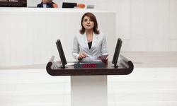 Gülcan Kış: 2 Milyon Emekli Çalışıyor, İktidar Masal Anlatıyor